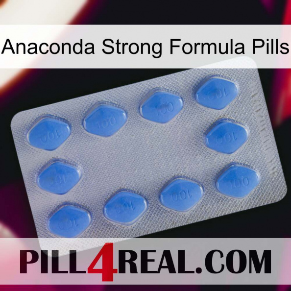 Anaconda Strong Formula Pills 21.jpg